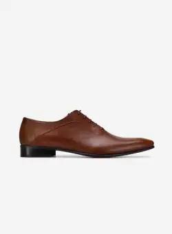 Pantofi barbati eleganti maro Richie
