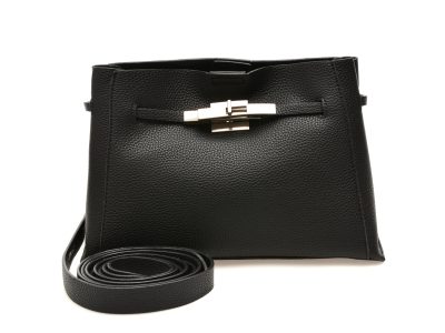Geanta FLAVIA PASSINI neagra, 2956, din piele ecologica